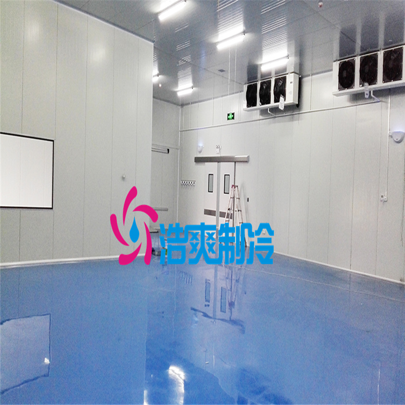 三甲醫(yī)院建造6000m3藥房冷藏庫安裝費用是多少？