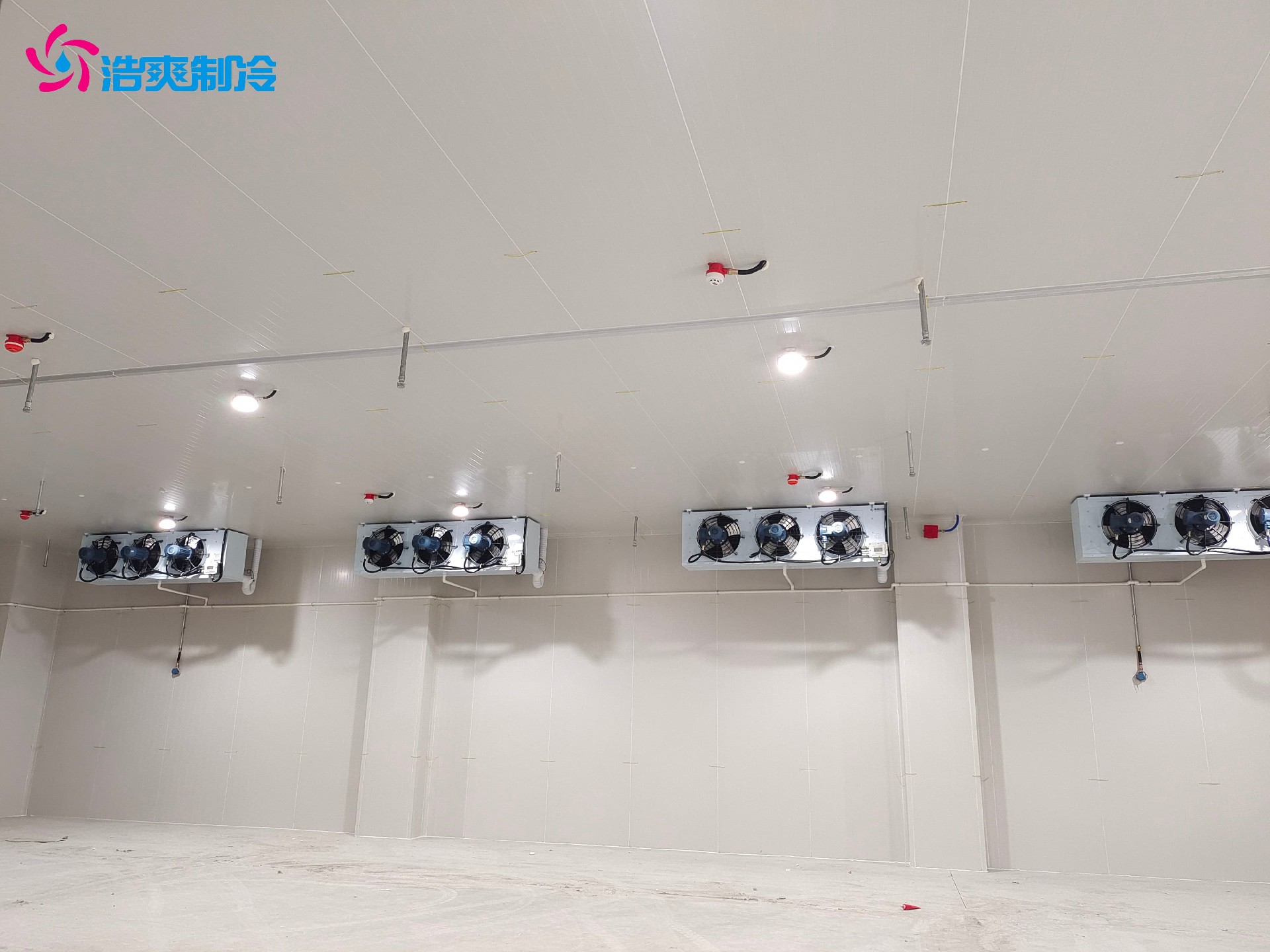 化工廠定做300㎡防爆冷庫造價(jià)大概需要多少錢 化工廠定做300㎡防爆冷庫造價(jià)大概需要多少錢