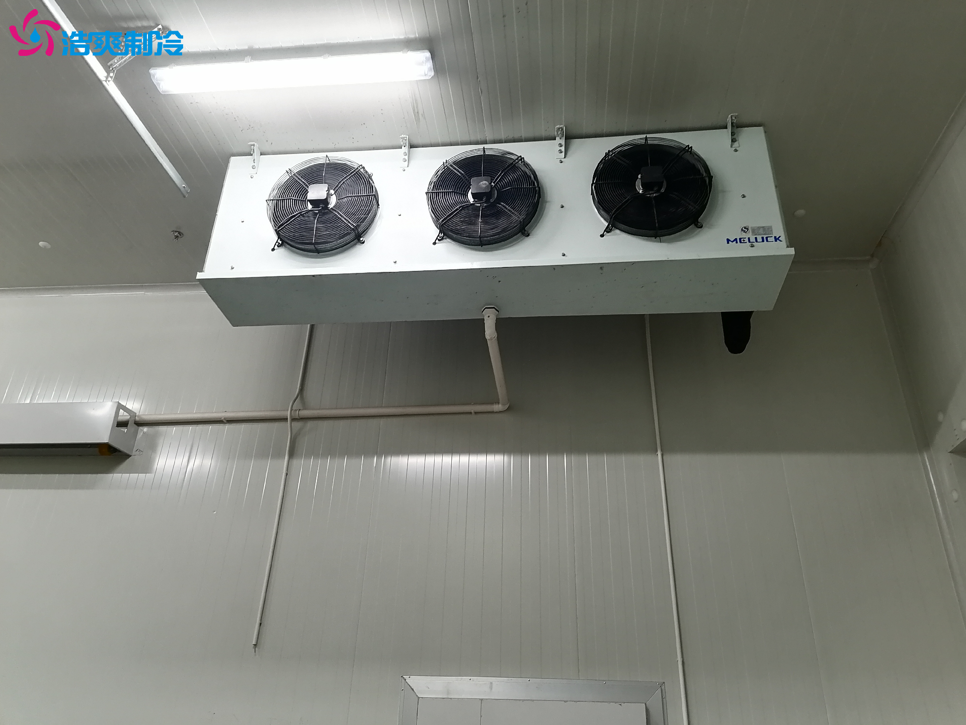 GSP認(rèn)證 藥品疫苗試劑醫(yī)藥冷庫(kù)定制化設(shè)計(jì)安裝