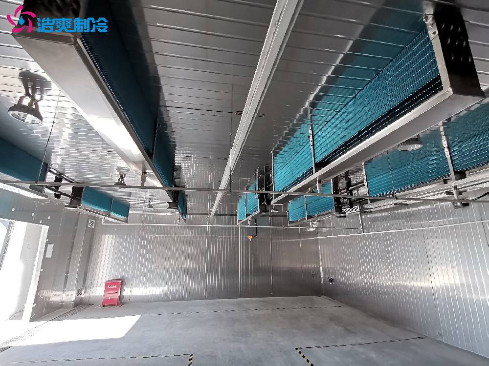 工業(yè)防爆冷庫 冷藏庫 科研凍庫 急凍速凍庫 全套設(shè)備安裝建造