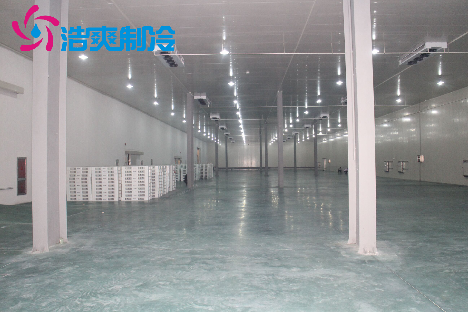 海鮮冷庫建設用以保鮮冷藏海產(chǎn)品 海鮮冷庫建設用以保鮮冷藏海產(chǎn)品