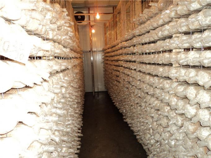 建一個100平方香菇冷庫全套要多少錢？