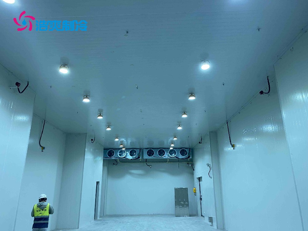 普通常規(guī)冷庫(kù)與醫(yī)藥冷庫(kù)的區(qū)別 普通常規(guī)冷庫(kù)與醫(yī)藥冷庫(kù)的區(qū)別