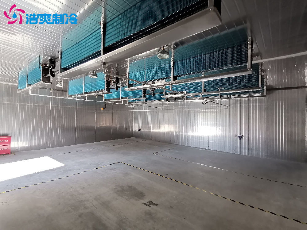 定制IICT4電子化工防爆冷庫(kù)安裝設(shè)計(jì)建造施工方案