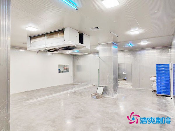 凈化車間冷庫(kù)設(shè)計(jì)方案