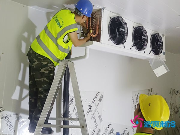 建造一個(gè)300平方米的冷凍庫(kù)造價(jià)需要多少資金投入呢?