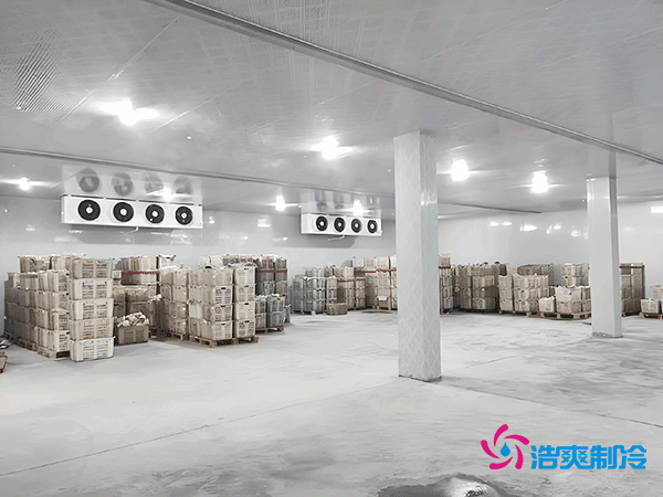 低溫冷凍庫造價(jià)指南，如何精準(zhǔn)預(yù)算冷凍庫建造成本？