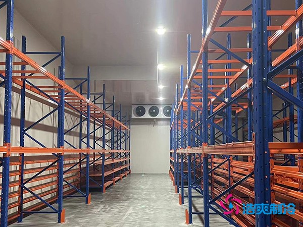 建中型冷庫(kù)要花多少錢？這些關(guān)鍵因素你必須知道-浩爽制冷