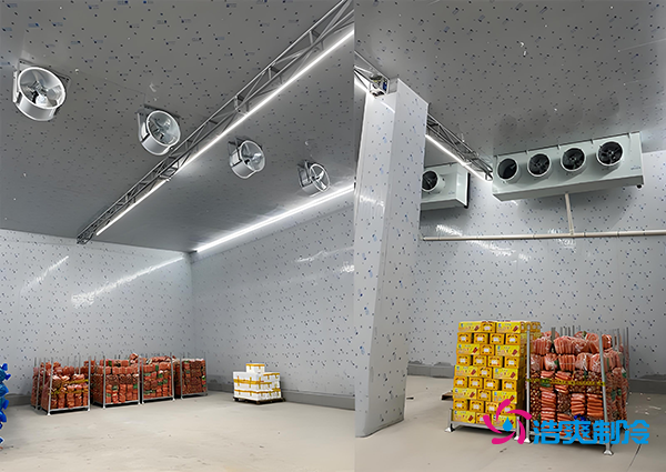 1000噸果蔬保鮮庫造價揭秘，節(jié)省成本就靠這幾點！