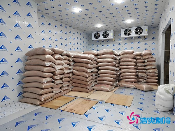 2萬(wàn)起建種子冷庫(kù)？這些因素讓造價(jià)翻倍！