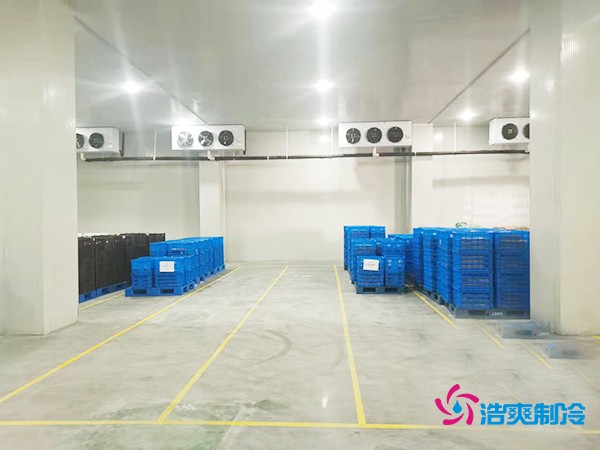 建造一個(gè)2000噸海鮮冷庫(kù)的預(yù)算分析