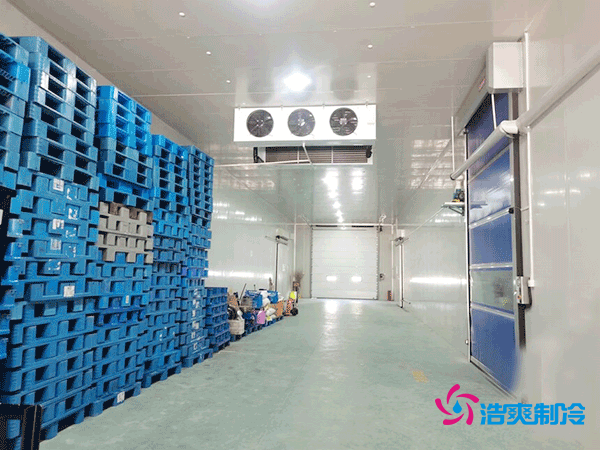 冷庫造價懸殊？揭秘每平米價格背后的秘密！