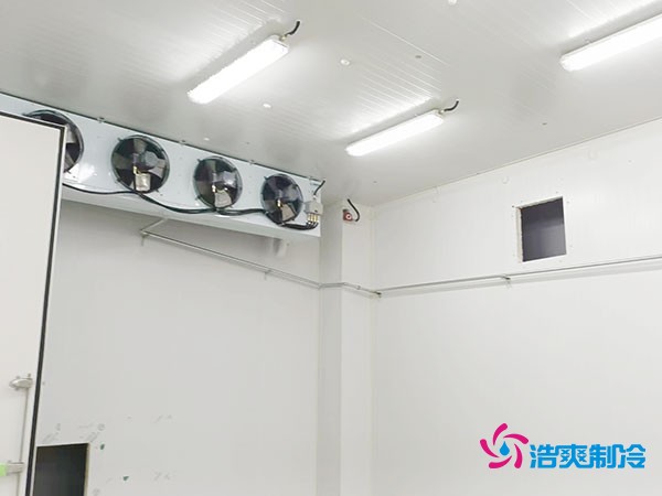 上海小型冷庫造價(jià)揭秘！2萬起真的靠譜嗎？