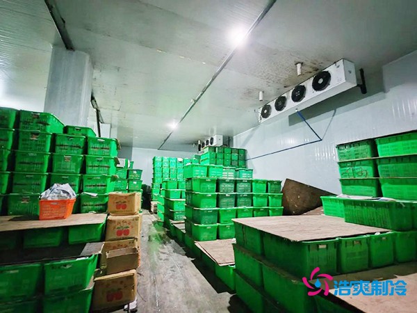 水果保鮮冷庫(kù)建造價(jià)格每平米多少錢？