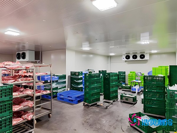 100噸凍肉冷庫造價預(yù)算概覽與設(shè)計建造方案