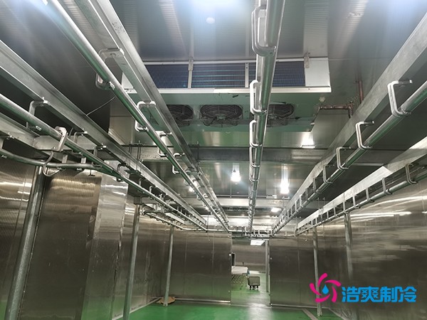 肉類冷庫建造費用及設(shè)計解析