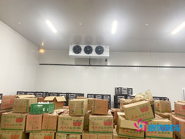 保鮮冷庫造價(jià)