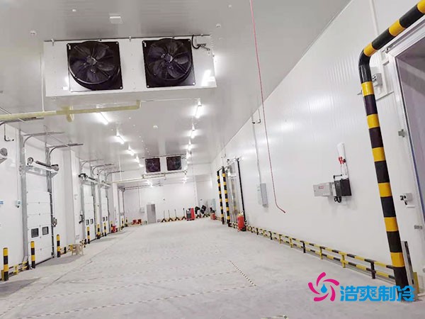 建設(shè)冷凍庫(kù)每平米造價(jià)多少錢(qián)？冷凍庫(kù)造價(jià)關(guān)鍵因素解析