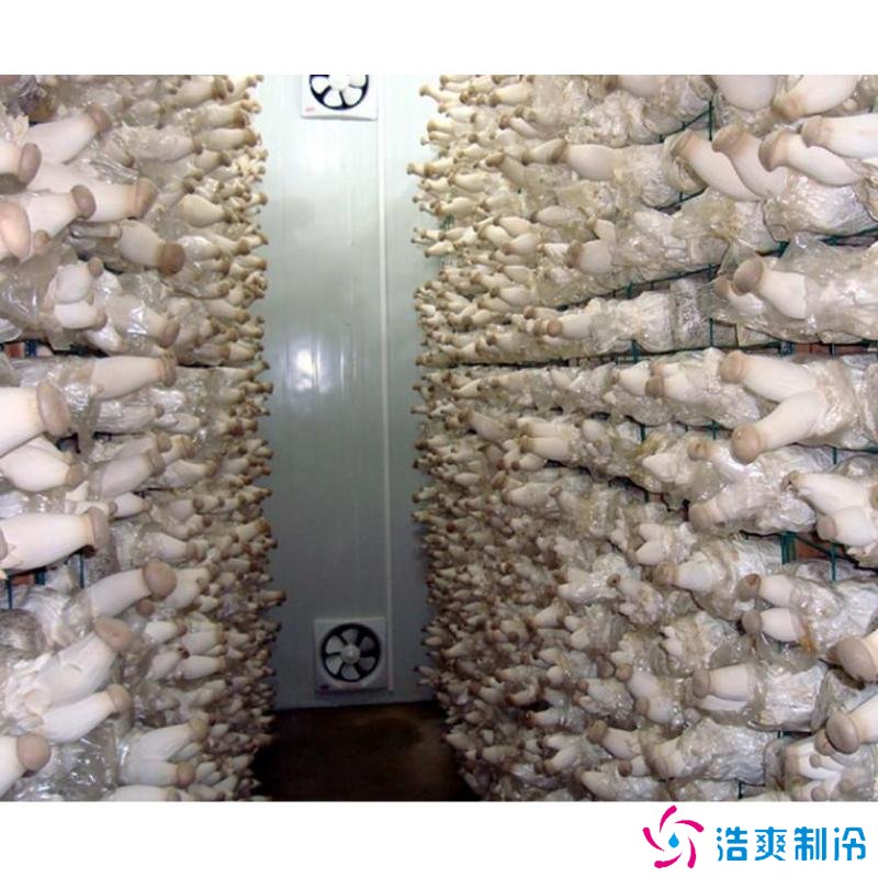 蘑菇冷庫建造成本多少錢，蘑菇冷藏方法哪些