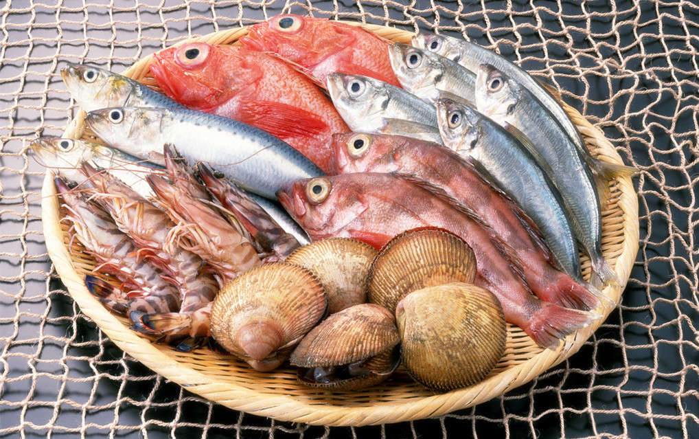 冰鮮海鮮冷庫造價，5000平方米冷凍庫總投資多少