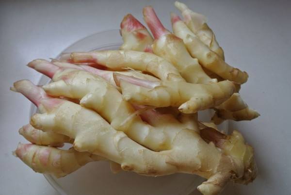 3000噸鮮姜冷庫(kù)前期規(guī)劃，冷庫(kù)造價(jià)預(yù)算多少