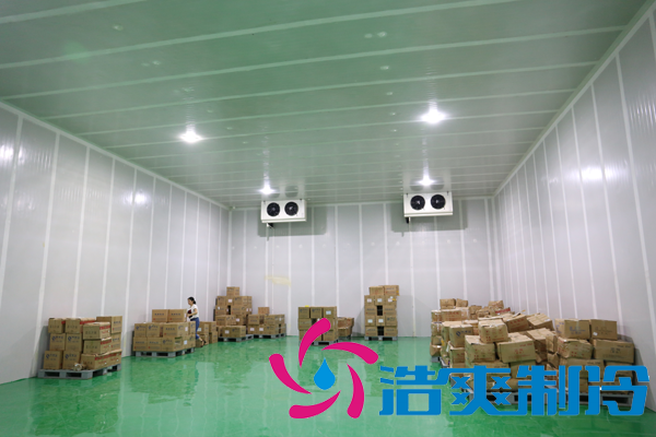 上海藥廠建造-20℃醫(yī)藥血漿冷庫(kù)，超低溫血漿冷庫(kù)定制預(yù)算多少