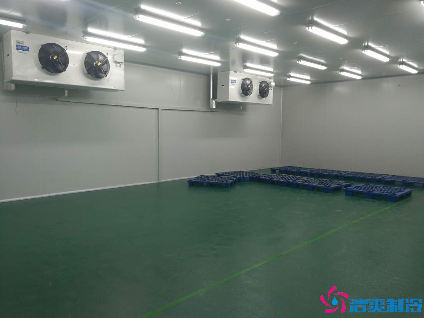 沈陽三生制藥3000平米低溫（冷凍、冷藏）醫(yī)藥物流冷庫工程案例