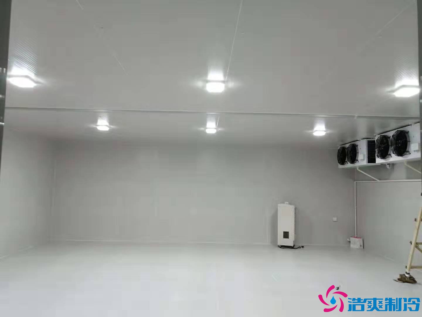 上?；蛏?000m3生物制品冷庫(kù)（冷凍、冷藏）新建工程案例