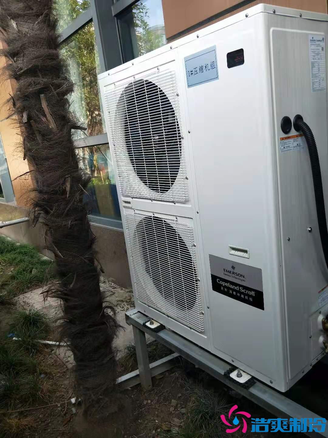 上?；蛏?000m3生物制品冷庫(kù)（冷凍、冷藏）新建工程案例