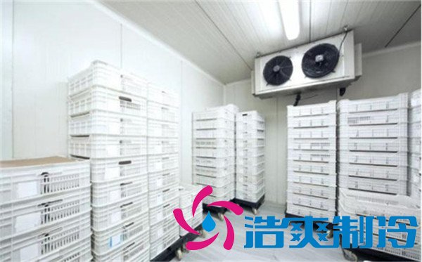 上海速凍包子/水餃冷庫(kù)(-30℃)