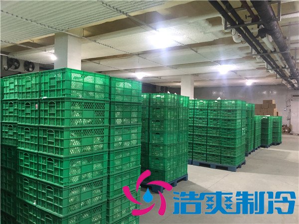 上海速凍包子/水餃冷庫(kù)(-30℃)