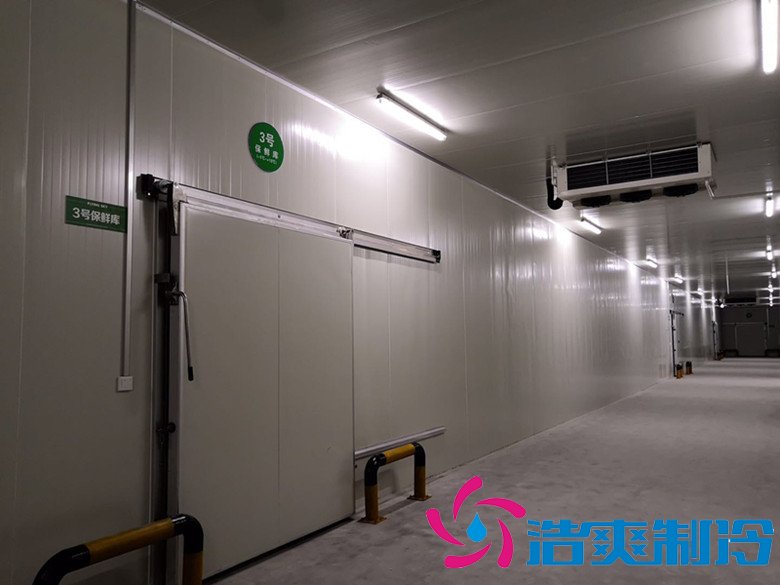 浙江佳時食品3000㎡牛肉、豆制品加工低溫冷藏冷凍庫完工圖片