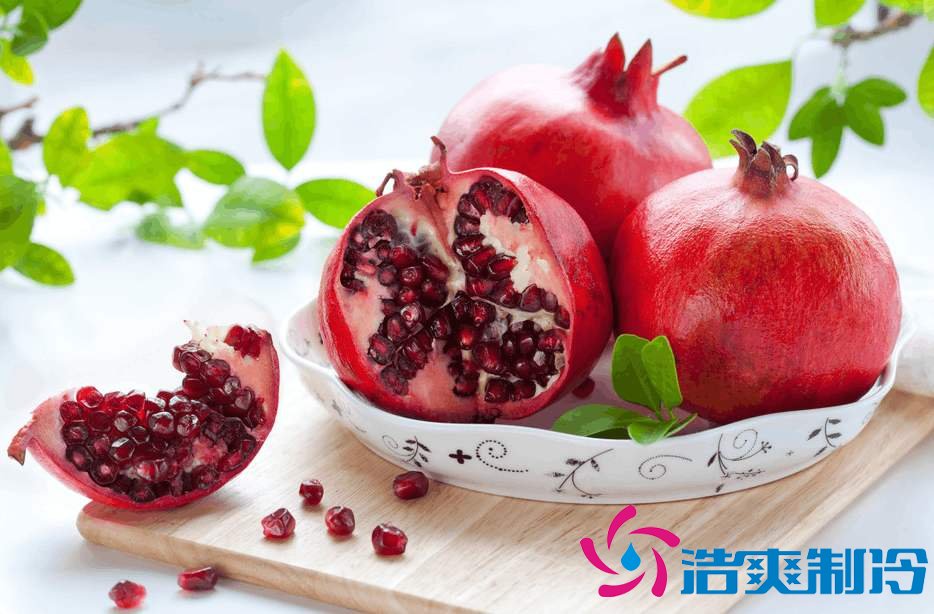 石榴冷藏庫儲存方法及安裝工程造價是多少錢？