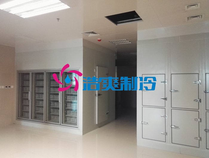 浩爽制冷，后補式疫苗冷庫