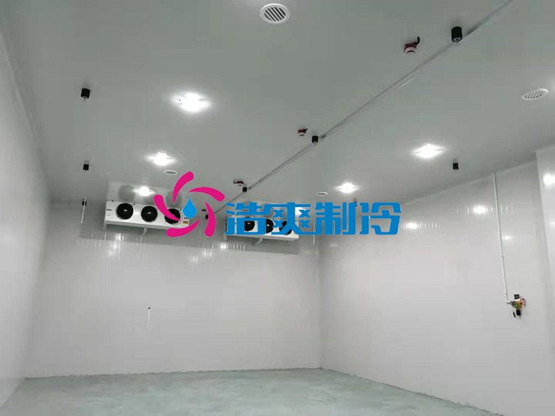 浩爽制冷，巧克力冷藏庫